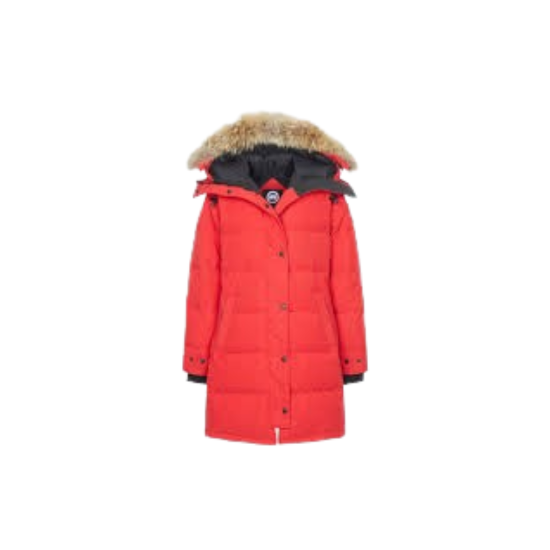 Canada Goose 'Puffer Coat' Women Hoodie